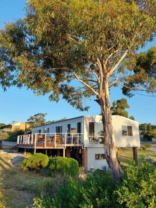 Old Salty Villa Binalong Bay Exterior photo